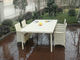 Comfortable Fashion Rattan Garden Dining Sets For Commercial Hotel